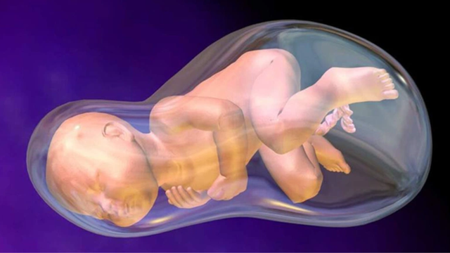 bai-viet/truyen-oi-cho-thai-phu-thieu-oi-muc-dich-va-quy-trinh-thuc-hien.html