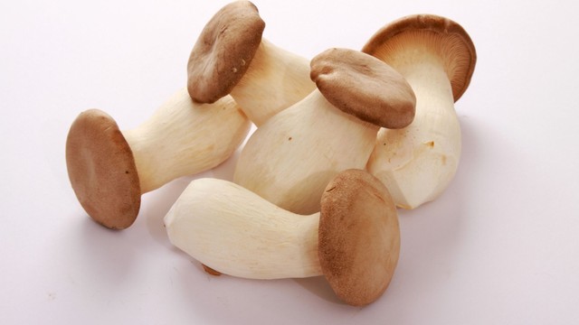 bai-viet/nam-hoang-de-va-nhung-tac-dung-bat-ngo-cho-suc-khoe.html