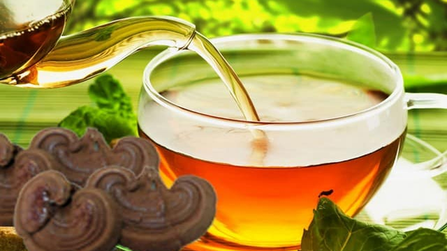 bai-viet/nam-lim-xanh-la-gi-uong-nam-lim-xanh-nhieu-co-tot-khong-72831.html