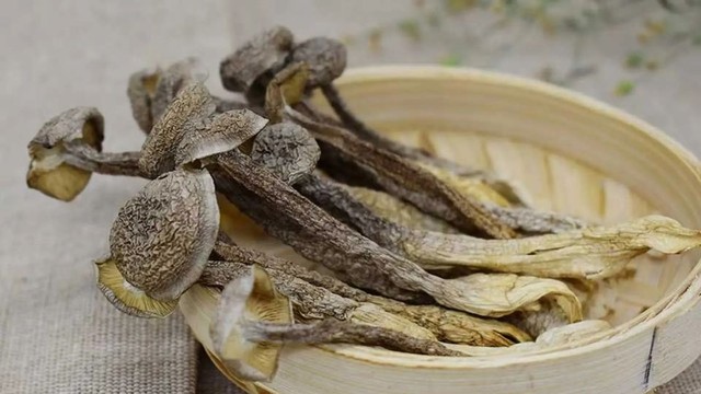 bai-viet/nam-loc-nhung-loi-ich-suc-khoe-va-gia-tri-dinh-duong-it-nguoi-biet.html