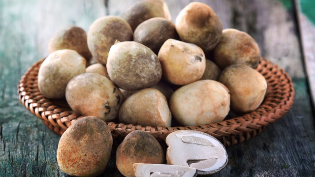 bai-viet/nam-rom-co-tac-dung-gi-nhung-luu-y-khi-su-dung.html