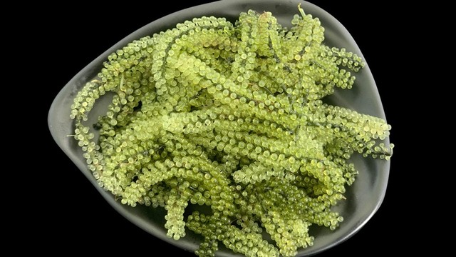 bai-viet/nen-an-rong-nho-vao-thoi-diem-nao-la-tot-nhat-70629.html