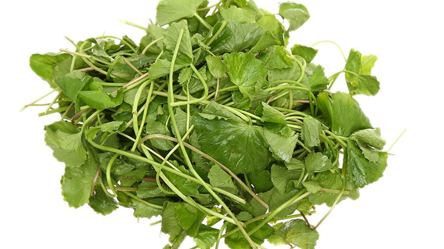 bai-viet/nen-mua-bot-rau-ma-o-dau-de-dam-bao-an-toan-cho-suc-khoe.html