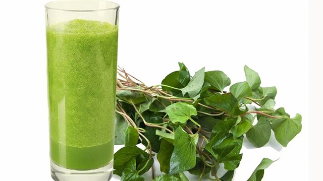 bai-viet/nen-uong-bot-diep-ca-vao-luc-nao-de-dat-hieu-qua-tot-nhat.html