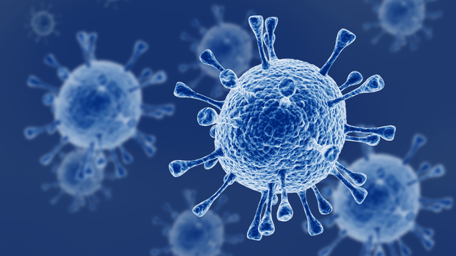 bai-viet/nga-phat-trien-vac-xin-phong-virus-marburg.html