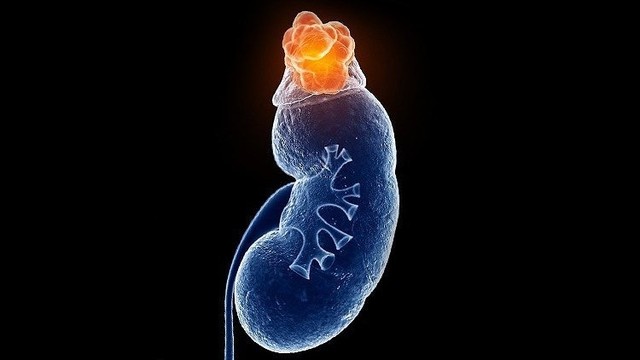 bai-viet/nghiem-phap-synacthen-duoc-tien-hanh-nhu-the-nao.html