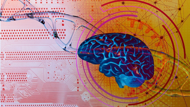 bai-viet/nghien-cuu-moi-lien-he-di-truyen-giua-benh-alzheimer-chuyen-hoa-lipid-va-benh-dong-mach-vanh.html