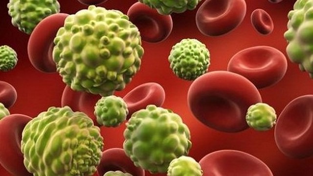 bai-viet/nghien-cuu-tim-ra-2-chat-co-kha-nang-uc-che-tang-sinh-te-bao-u-nguyen-bao-than-kinh-dem-72166.html