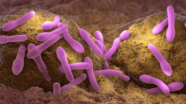 benh/nhiem-clostridium-botulinum-198.html