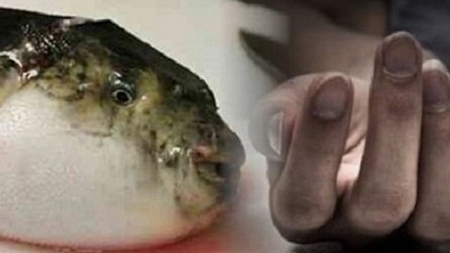 bai-viet/ngo-doc-ca-noc-thong-tin-quan-trong-it-nguoi-biet-55075.html