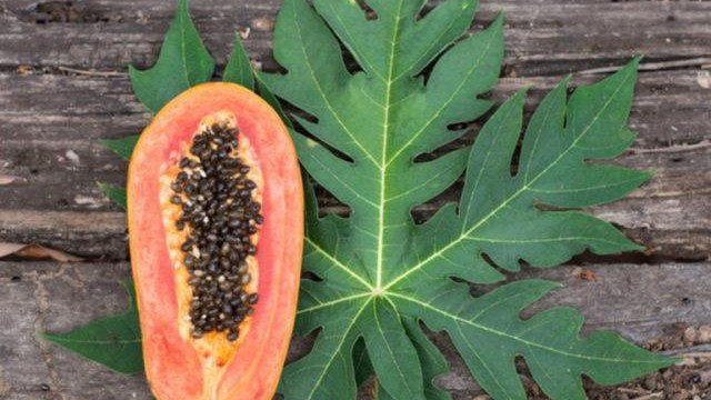 bai-viet/canh-giac-ve-ngo-doc-la-du-du.html