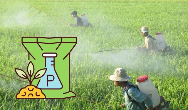 bai-viet/ngo-doc-phospho-huu-co-trieu-chung-va-cach-dieu-tri-56604.html