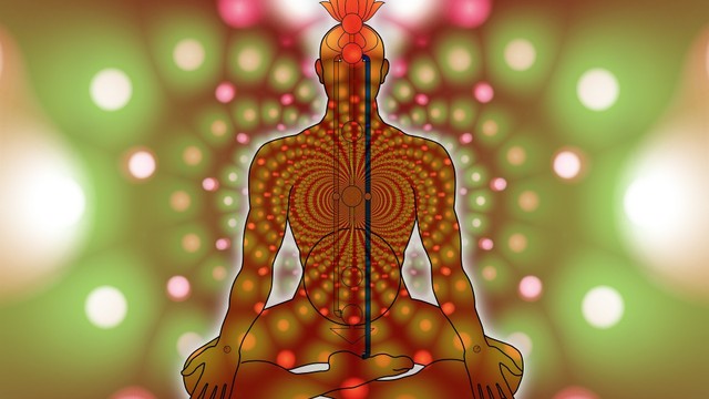 bai-viet/ngoai-cam-luc-dam-va-nhung-dieu-can-biet-de-cham-soc-suc-khoe-tot-hon.html