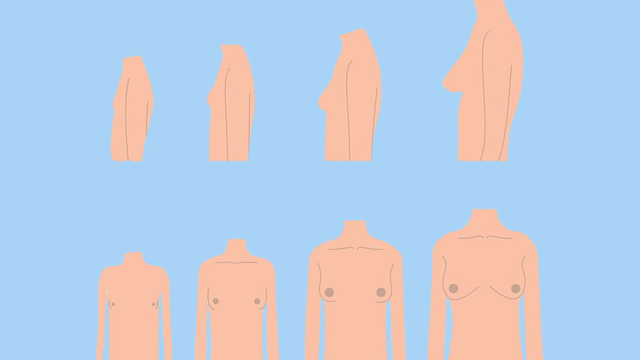 bai-viet/nguc-con-gai-tuoi-day-thi-qua-trinh-phat-trien-nhu-the-nao.html