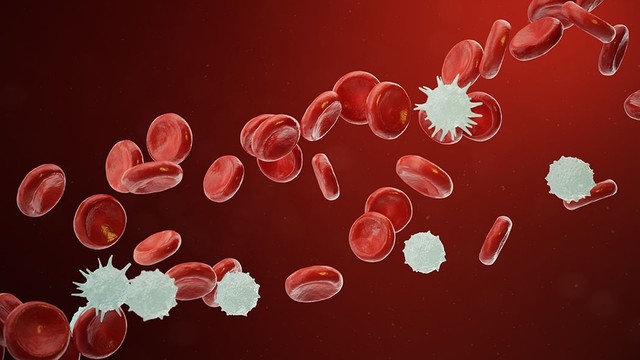 bai-viet/nguoi-benh-ung-thu-mau-giai-doan-3-song-duoc-bao-lau.html