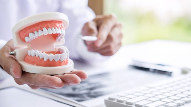 bai-viet/nguoi-binh-thuong-co-bao-nhieu-cai-rang-yeu-to-quyet-dinh-so-luong-rang.html