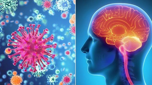 bai-viet/nguon-goc-phat-sinh-benh-viem-nao-nhat-ban-va-cach-phong-benh-hieu-qua.html