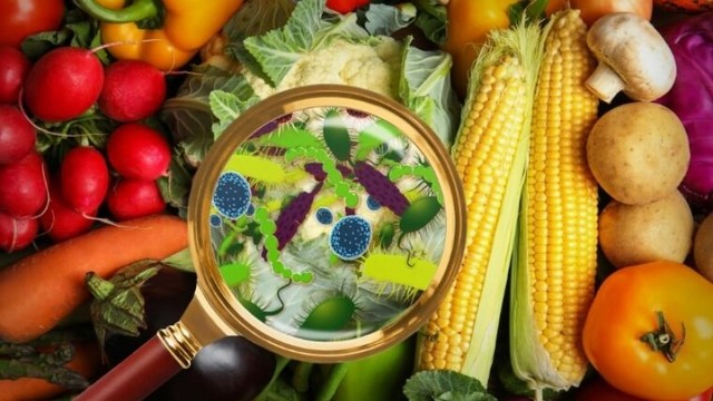 bai-viet/nguon-vi-khuan-gay-ngo-doc-thuc-pham.html