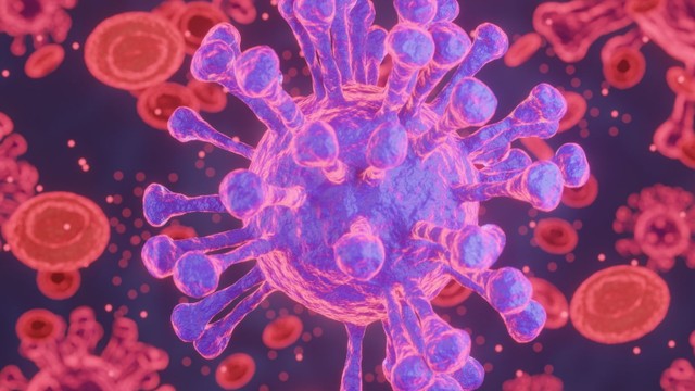 bai-viet/nguy-co-tiem-an-cua-benh-phe-cau-xam-lan-va-cach-phong-tranh-hieu-qua.html