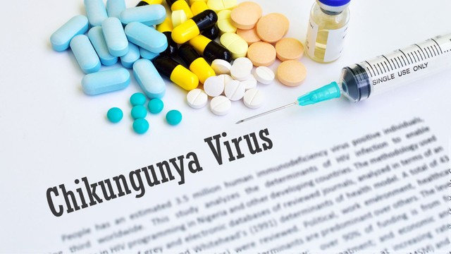 bai-viet/nguy-hiem-tu-virus-chikungunya-bung-phat-khien-who-phat-canh-bao-khan-cap-1.html