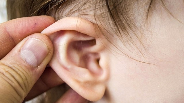 bai-viet/chay-dich-tai-co-nguy-hiem-khong-nguyen-nhan-chay-dich-tai-la-gi.html