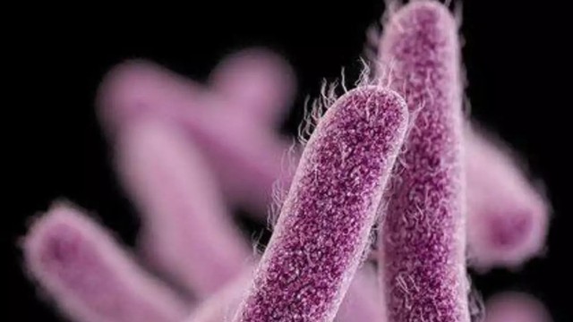 bai-viet/nguyen-nhan-gay-mssa-la-gi-cac-loai-nhiem-trung-mssa.html