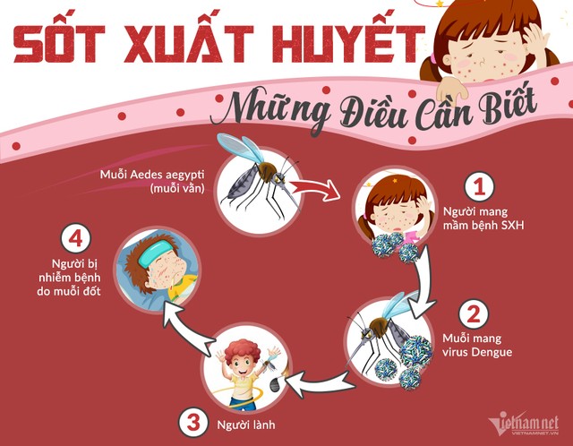 bai-viet/nguyen-nhan-trieu-chung-va-cach-chua-tri-sot-xuat-huyet-cho-be-duoi-1-tuoi-45667.html