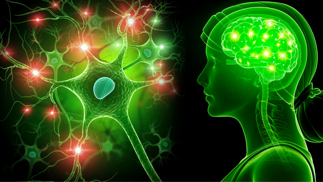 bai-viet/viem-nao-tuy-hau-nhiem-la-gi-nguyen-nhan-va-phuong-phap-chan-doan.html