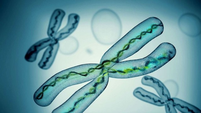 bai-viet/nhiem-sac-the-tuong-dong-cau-tao-vai-tro-va-mot-so-dieu-can-biet.html