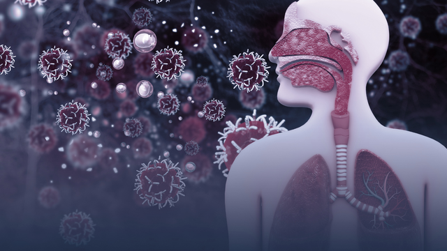 bai-viet/nhiem-trung-duong-ho-hap-o-nguoi-lon-nguyen-nhan-do-dau.html