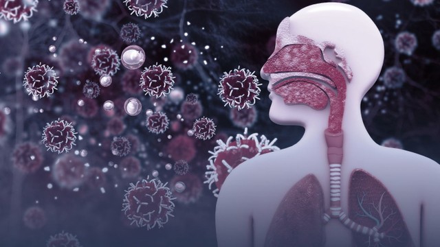 bai-viet/nhiem-trung-nhiet-doi-nguyen-nhan-va-cach-phong-ngua-hieu-qua.html