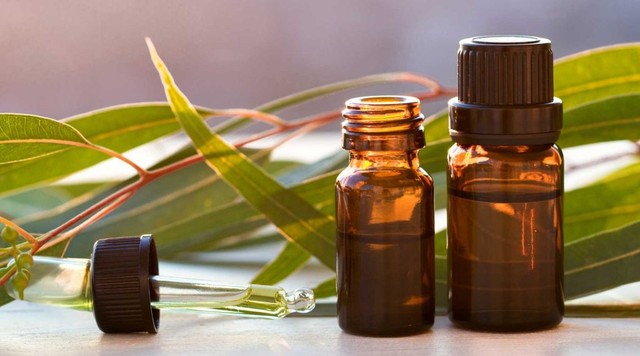 bai-viet/nhung-cong-dung-cua-dau-tram-ban-nen-biet-46756.html