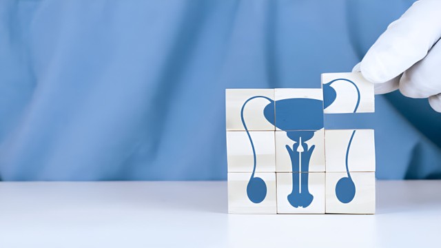 bai-viet/nhung-diem-quan-trong-trong-giai-phau-thung-tinh-ma-ban-can-biet.html