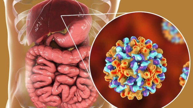 bai-viet/nhung-dieu-ban-can-biet-ve-viem-gan-b-cap-tinh.html