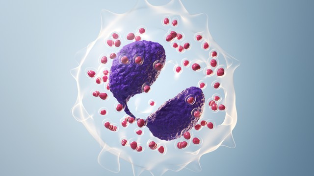 bai-viet/nhung-dieu-can-biet-ve-bach-cau-ai-kiem-tang.html