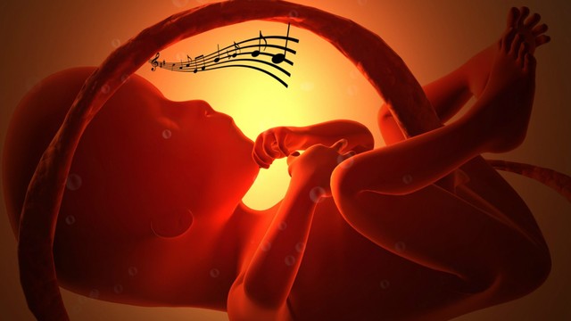 bai-viet/nhac-thai-giao-3-thang-dau-thai-ky-co-loi-ich-gi-luu-y-can-biet-khi-ap-dung.html