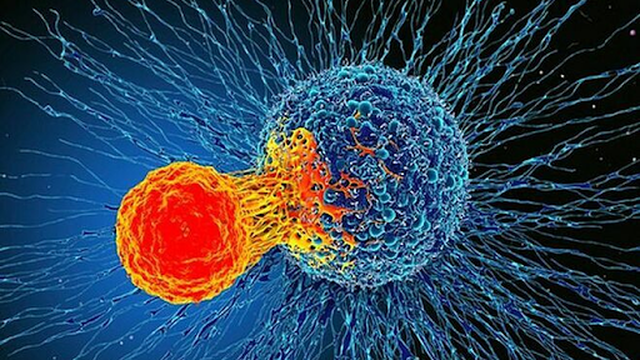 bai-viet/nhung-dieu-can-biet-ve-tac-dung-phu-cua-lieu-phap-mien-dich-58879.html