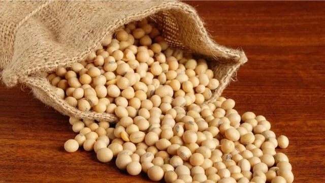 bai-viet/nhung-duong-chat-co-loi-trong-hat-dau-nanh.html