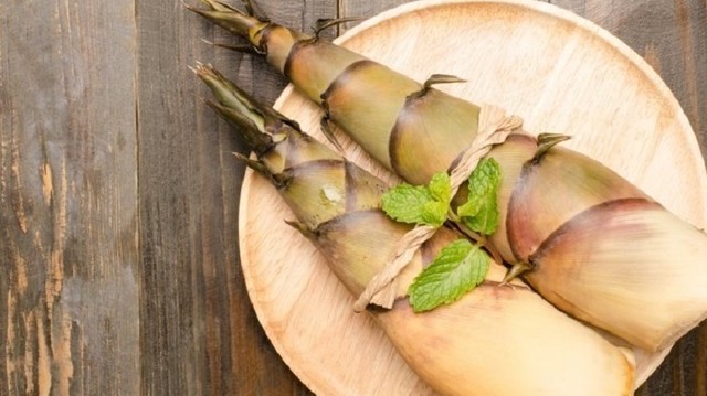 bai-viet/nhung-loi-ich-cua-mang-tre-mang-lai-cho-suc-khoe-67590.html