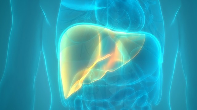 bai-viet/nhung-phuong-phap-dieu-tri-viem-gan-phu-hop-voi-tung-nguyen-nhan-gay-benh.html