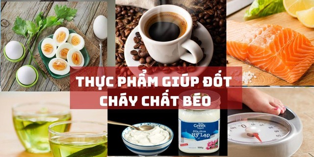 bai-viet/nhung-thuc-pham-dot-chay-chat-beo-toi-uu.html