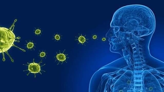 bai-viet/nhung-yeu-to-giup-phan-biet-viem-phe-quan-phoi-va-viem-tieu-phe-quan-54978.html