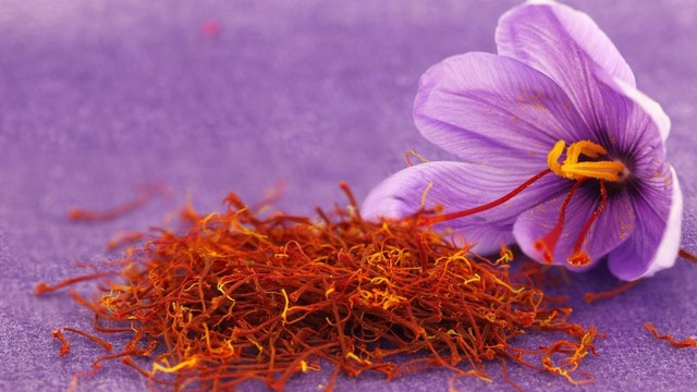 bai-viet/nhung-doi-tuong-khong-nen-dung-nhuy-hoa-nghe-tay-61667.html