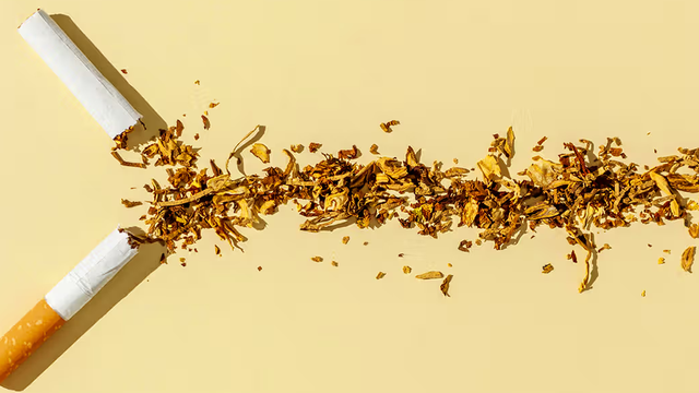 bai-viet/nicotine-co-gay-ung-thu-khong-tac-dung-that-su-cua-nicotine-la-gi.html