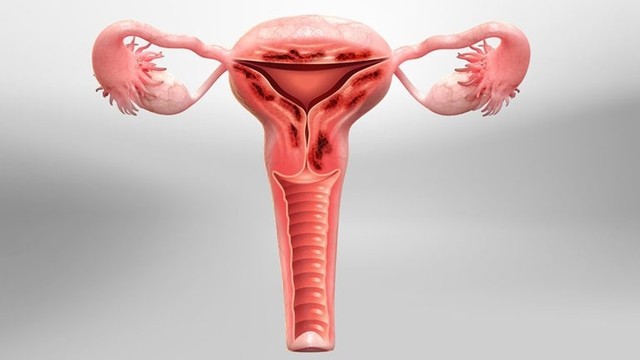 bai-viet/niem-mac-tu-cung-day-la-sap-co-kinh-dung-hay-khong.html