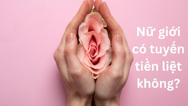 bai-viet/nu-gioi-co-tuyen-tien-liet-khong-cau-tra-loi-tu-chuyen-gia.html