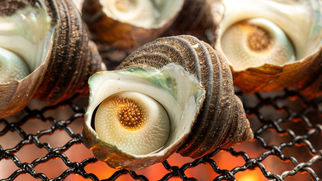 bai-viet/oc-mat-trang-gia-tri-dinh-duong-loi-ich-suc-khoe-va-luu-y-khi-an.html