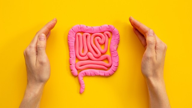 bai-viet/ong-tieu-hoa-cau-tao-chuc-nang-va-cach-bao-ve-suc-khoe-he-tieu-hoa.html