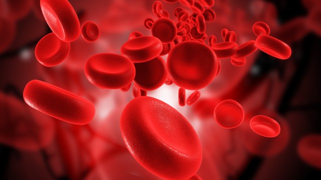 bai-viet/p-h-mau-binh-thuong-la-bao-nhieu-cac-yeu-to-anh-huong-den-p-h-mau.html