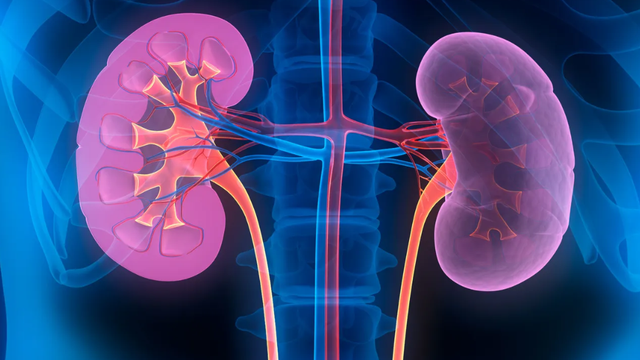 bai-viet/phac-do-dieu-tri-suy-than-cap-bo-y-te-tham-khao-nay-neu-co-benh-than.html